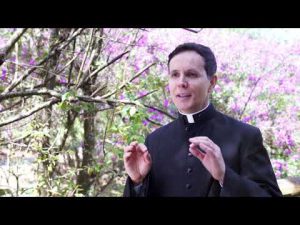 Dia de Nossa Senhora das Mercês – Padre Alexandre Fernandes