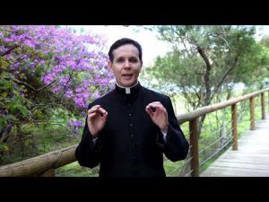 Memória de São Cosme e São Damião – Padre Alexandre Fernandes