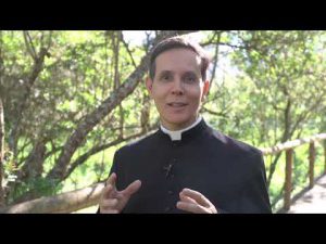 Memória da Apresentação de Nossa Senhora – Padre Alexandre Fernandes