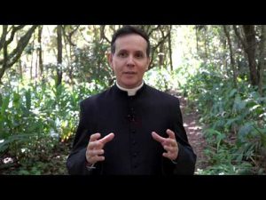 Dia de Nossa Senhora das Graças – Padre Alexandre Fernandes