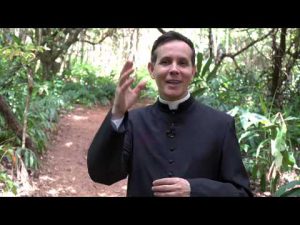Solenidade da Imaculada Conceição de Nossa Senhora – Padre Alexandre Fernandes