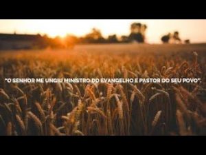 Sacramento do Crisma – Paróquia Bom Jesus do Vale