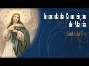 08-12 Solenidade da Imaculada Conceição de Maria – Padre Alexandre Fernandes