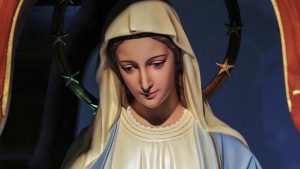 Um mês com Maria | 8º dia – O paraíso